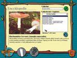 TS Prodovda 1 - Rostliny a houby